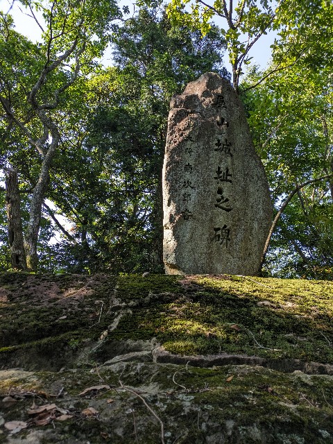 f:id:datsuryokuman:20230619235652j:image