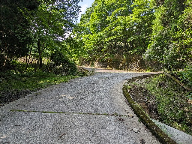 f:id:datsuryokuman:20230620235620j:image f:id:datsuryokuman:20230620235620j:image