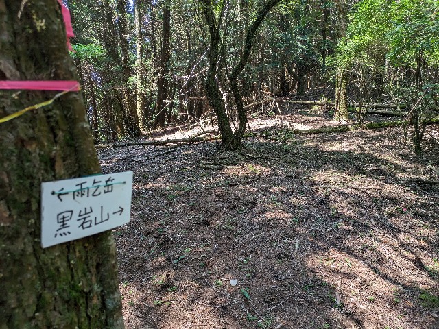 f:id:datsuryokuman:20230620235745j:image f:id:datsuryokuman:20230620235745j:image