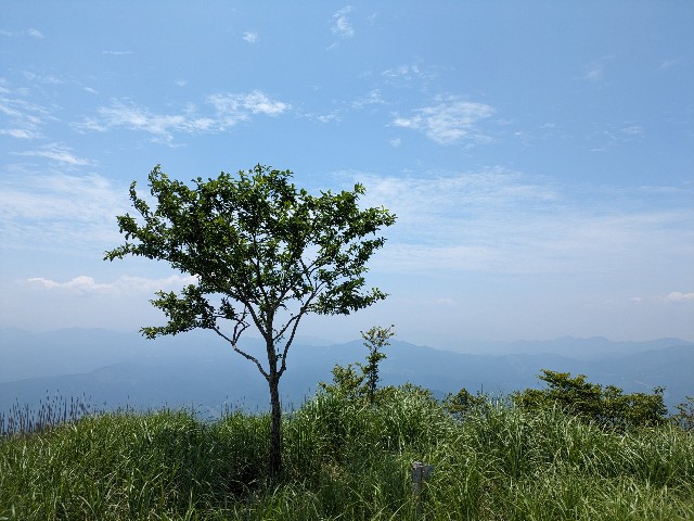 f:id:datsuryokuman:20230620235928j:image f:id:datsuryokuman:20230620235928j:image