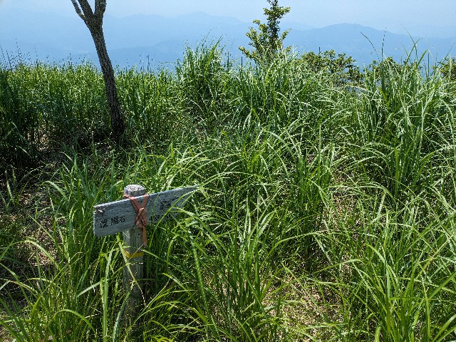 f:id:datsuryokuman:20230620235943j:image f:id:datsuryokuman:20230620235943j:image