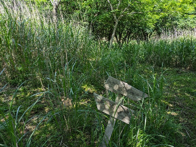 f:id:datsuryokuman:20230621000004j:image f:id:datsuryokuman:20230621000004j:image