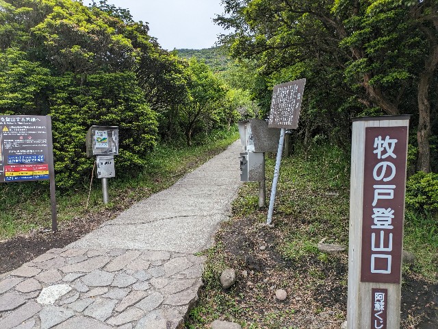 f:id:datsuryokuman:20230625125221j:image