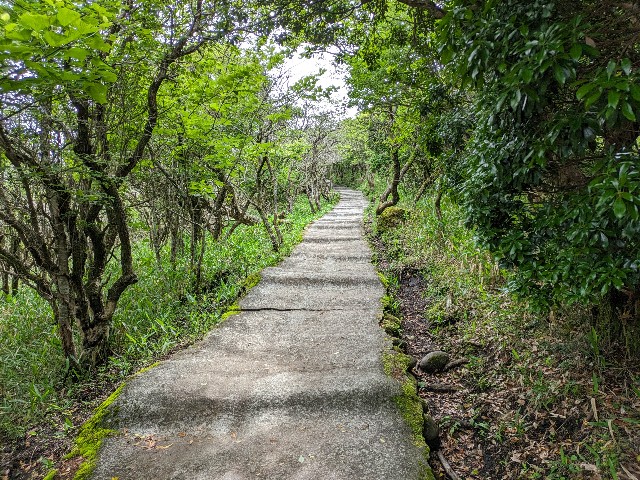 f:id:datsuryokuman:20230625125231j:image
