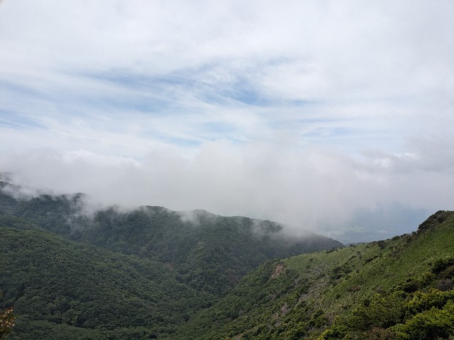 f:id:datsuryokuman:20230625125251j:image