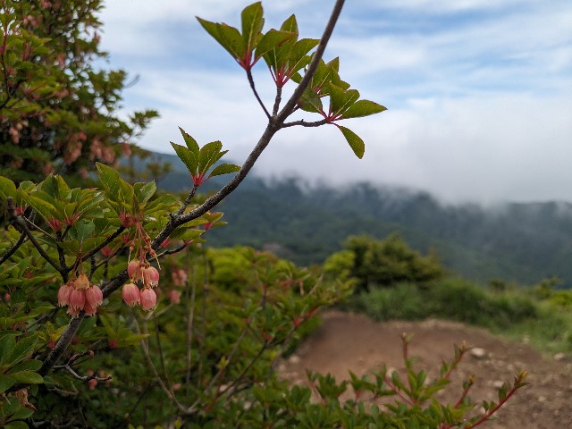 f:id:datsuryokuman:20230625125408j:image