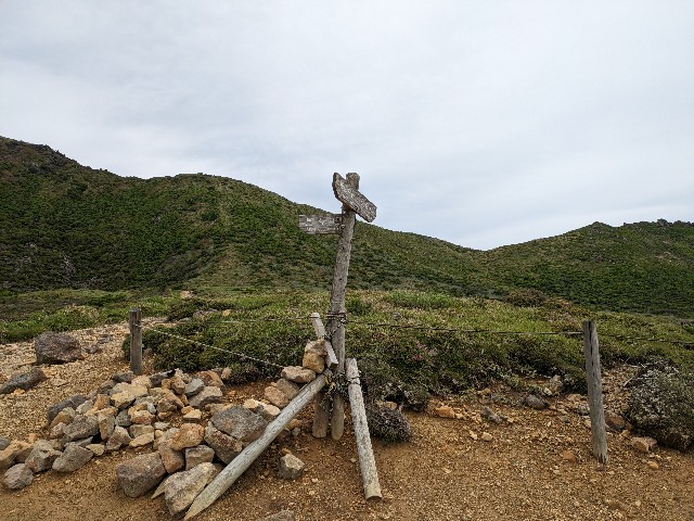 f:id:datsuryokuman:20230625130204j:image