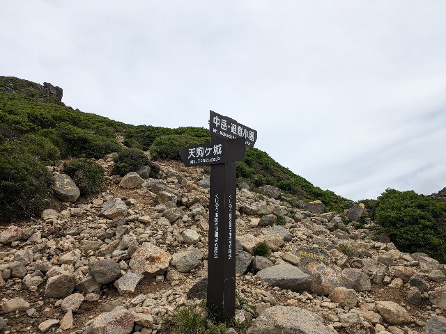 f:id:datsuryokuman:20230625130300j:image