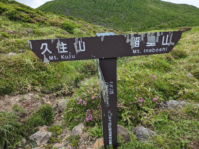 f:id:datsuryokuman:20230625130418j:image