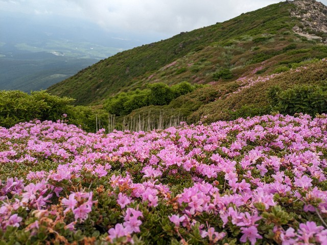 f:id:datsuryokuman:20230625130432j:image