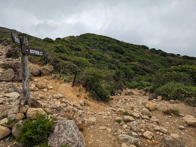 f:id:datsuryokuman:20230625130448j:image