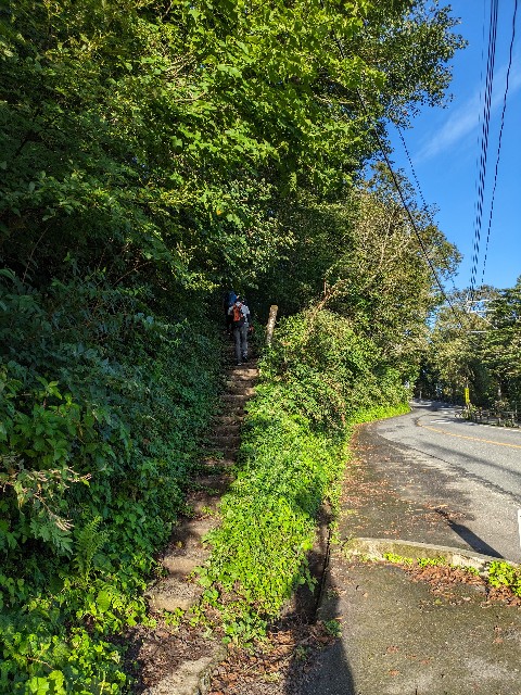 f:id:datsuryokuman:20230828181624j:image