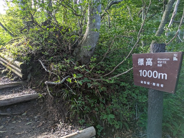 f:id:datsuryokuman:20230828185335j:image