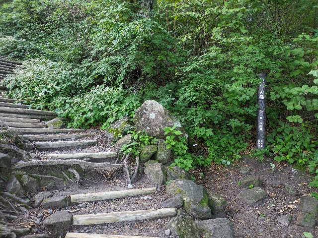 f:id:datsuryokuman:20230828185400j:image