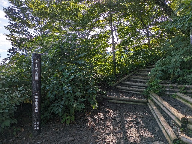 f:id:datsuryokuman:20230828185540j:image