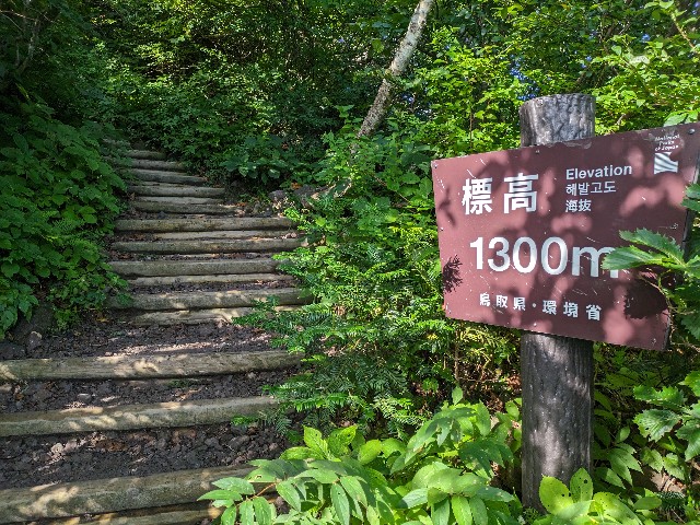 f:id:datsuryokuman:20230828185605j:image
