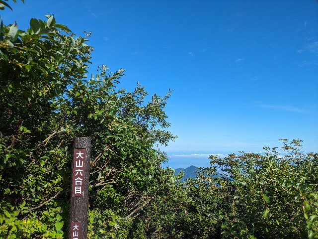 f:id:datsuryokuman:20230828185646j:image