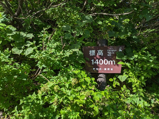 f:id:datsuryokuman:20230828185733j:image