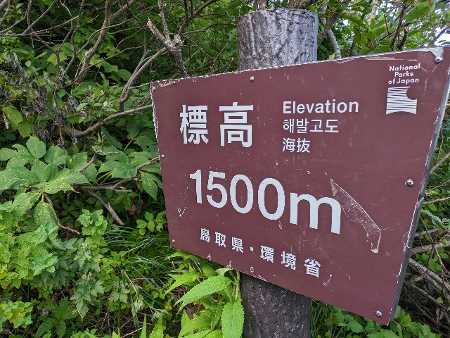 f:id:datsuryokuman:20230828185907j:image