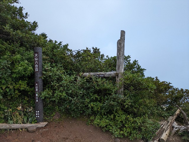 f:id:datsuryokuman:20230828190048j:image