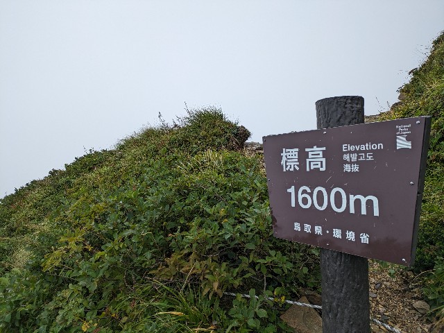 f:id:datsuryokuman:20230828190113j:image