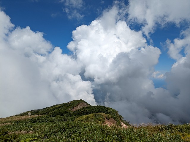 f:id:datsuryokuman:20230828190357j:image