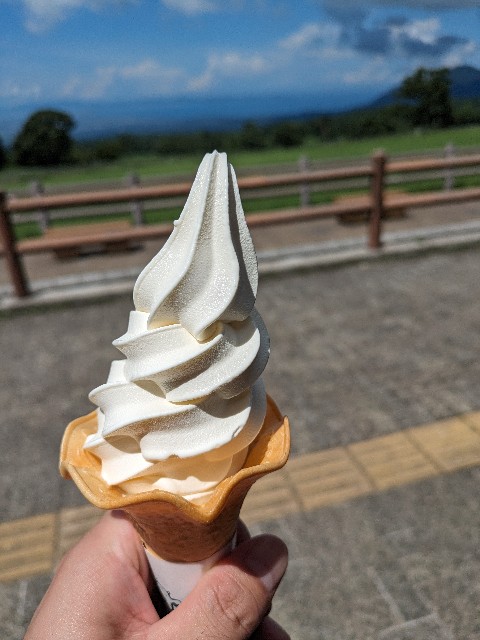 f:id:datsuryokuman:20230828190603j:image