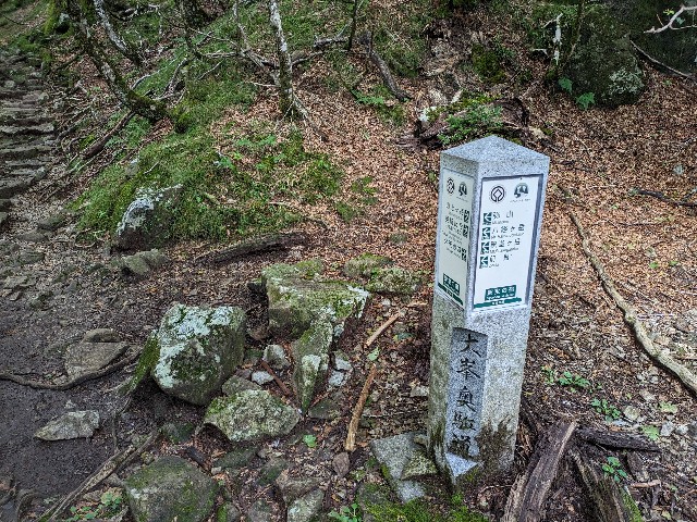f:id:datsuryokuman:20230902202551j:image