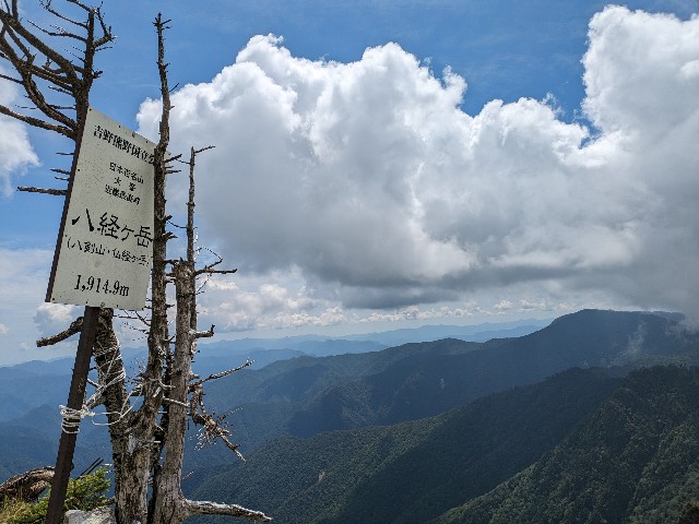 f:id:datsuryokuman:20230902203058j:image