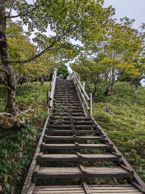 f:id:datsuryokuman:20230902204129j:image f:id:datsuryokuman:20230902204129j:image