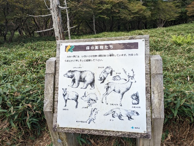 f:id:datsuryokuman:20230902204428j:image f:id:datsuryokuman:20230902204428j:image
