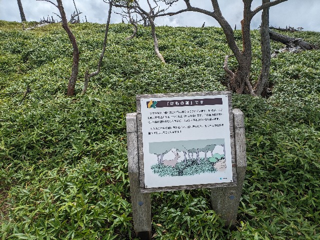 f:id:datsuryokuman:20230902204718j:image f:id:datsuryokuman:20230902204718j:image
