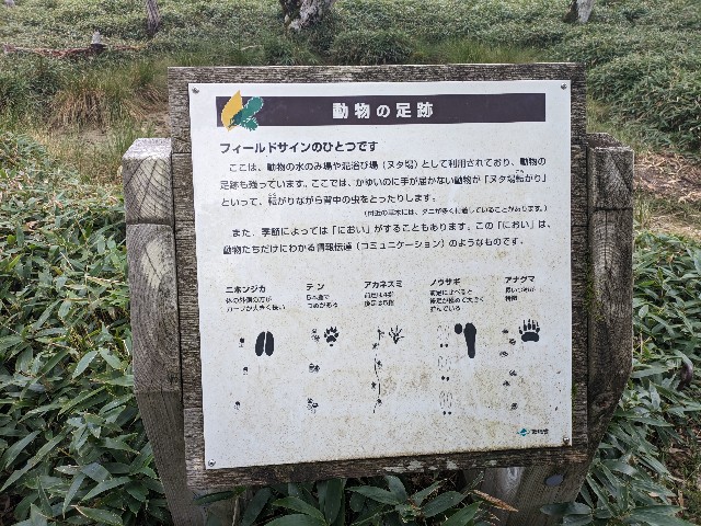 f:id:datsuryokuman:20230902205016j:image f:id:datsuryokuman:20230902205016j:image