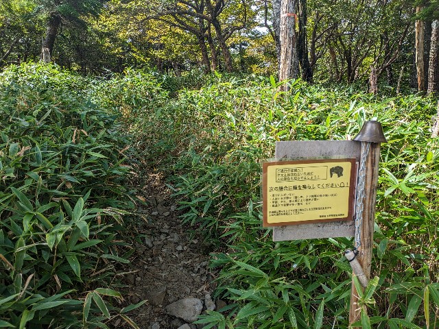 f:id:datsuryokuman:20230902205133j:image f:id:datsuryokuman:20230902205133j:image