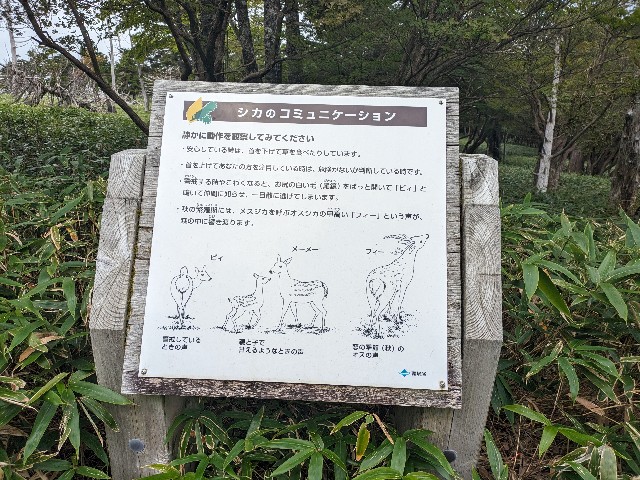 f:id:datsuryokuman:20230902205158j:image f:id:datsuryokuman:20230902205158j:image