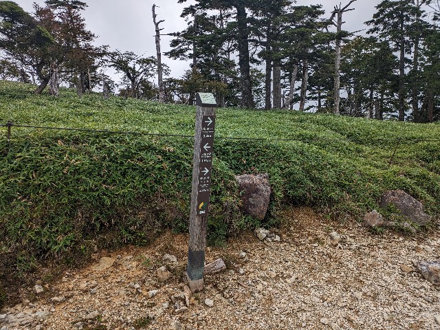 f:id:datsuryokuman:20230902205228j:image f:id:datsuryokuman:20230902205228j:image