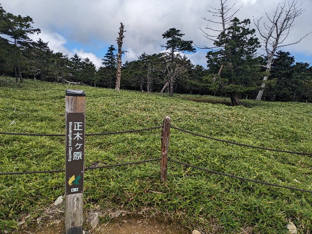 f:id:datsuryokuman:20230902205255j:image f:id:datsuryokuman:20230902205255j:image