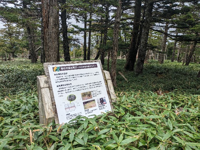 f:id:datsuryokuman:20230902205329j:image f:id:datsuryokuman:20230902205329j:image