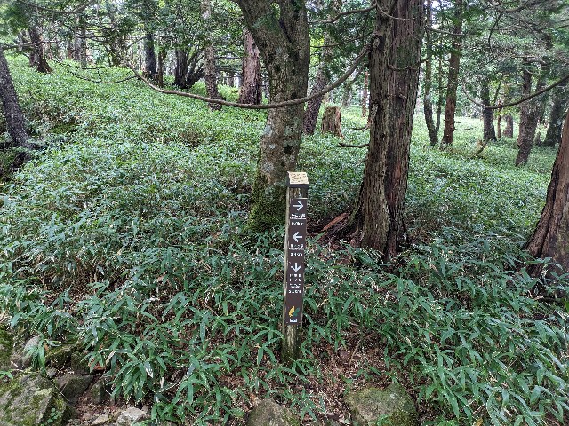 f:id:datsuryokuman:20230902205400j:image f:id:datsuryokuman:20230902205400j:image