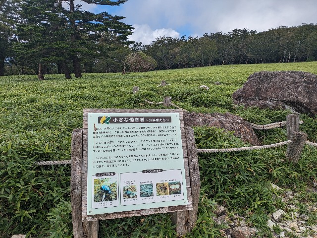 f:id:datsuryokuman:20230902205508j:image f:id:datsuryokuman:20230902205508j:image