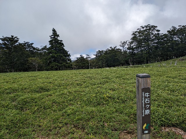 f:id:datsuryokuman:20230902205530j:image f:id:datsuryokuman:20230902205530j:image