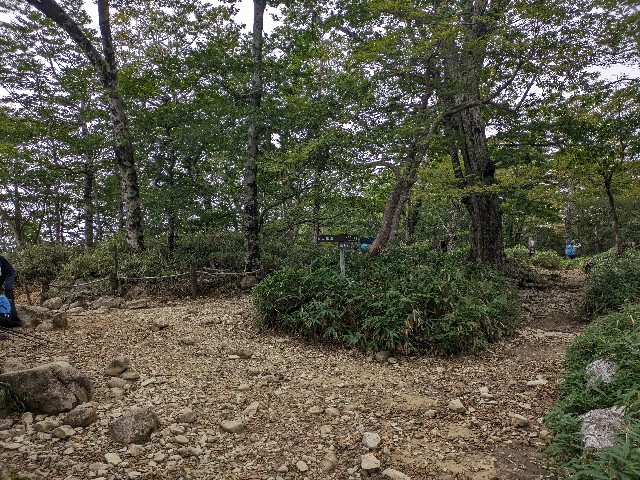 f:id:datsuryokuman:20230902205556j:image f:id:datsuryokuman:20230902205556j:image