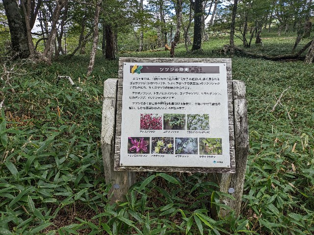 f:id:datsuryokuman:20230902205944j:image f:id:datsuryokuman:20230902205944j:image