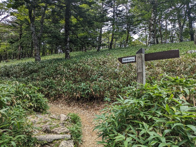 f:id:datsuryokuman:20230902210407j:image f:id:datsuryokuman:20230902210407j:image