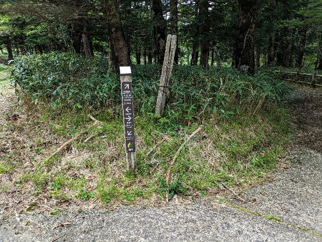 f:id:datsuryokuman:20230902210439j:image f:id:datsuryokuman:20230902210439j:image