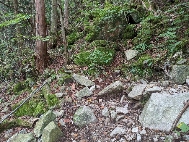 f:id:datsuryokuman:20230902213202j:image