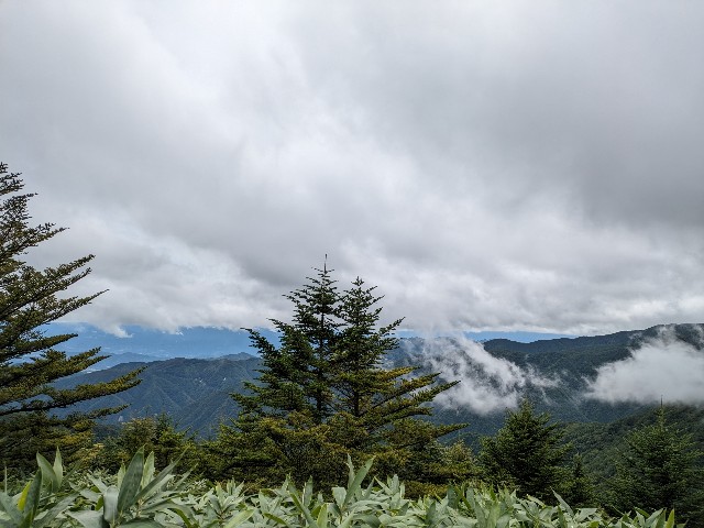f:id:datsuryokuman:20230902213622j:image