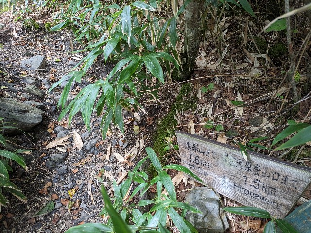 f:id:datsuryokuman:20230902213706j:image
