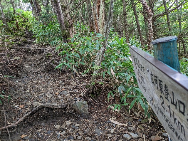 f:id:datsuryokuman:20230902213830j:image