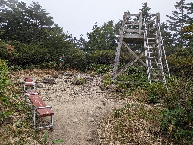f:id:datsuryokuman:20230902214011j:image